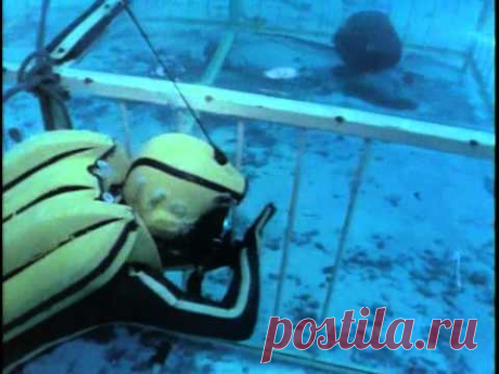 Жак-Ив Кусто 01.1968 Акулы