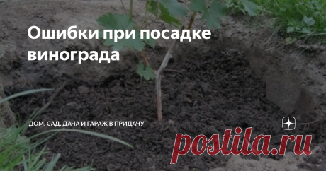 Ошибки при посадке винограда Посадка винограда неопытными садоводами может привести к гибели растений. Случается это из-за несоблюдения некоторых правил. Чтобы саженцы не погибли, необходимо учесть часто допускаемые садоводами ошибки.
Какие ошибки допускаются при посадке винограда чаще всего?
Основной ошибкой садоводов, которую они допускают на начальном этапе, является приобретение посадочного материала у неофициальных