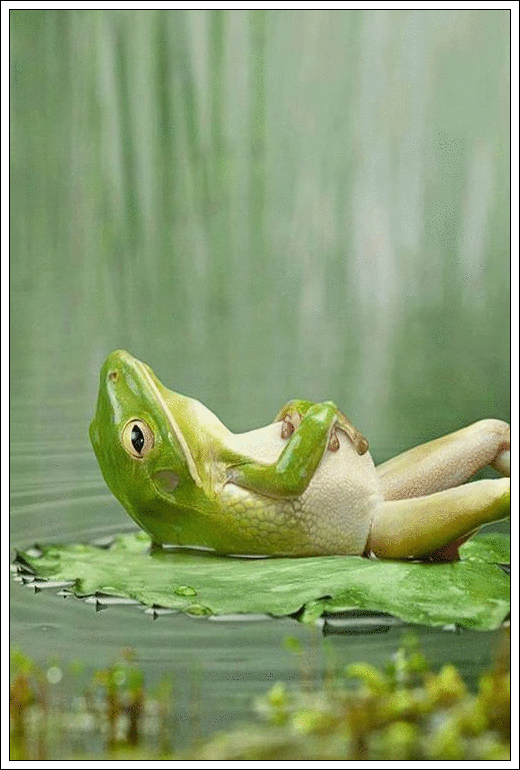 Книги скорей  по шкафам!