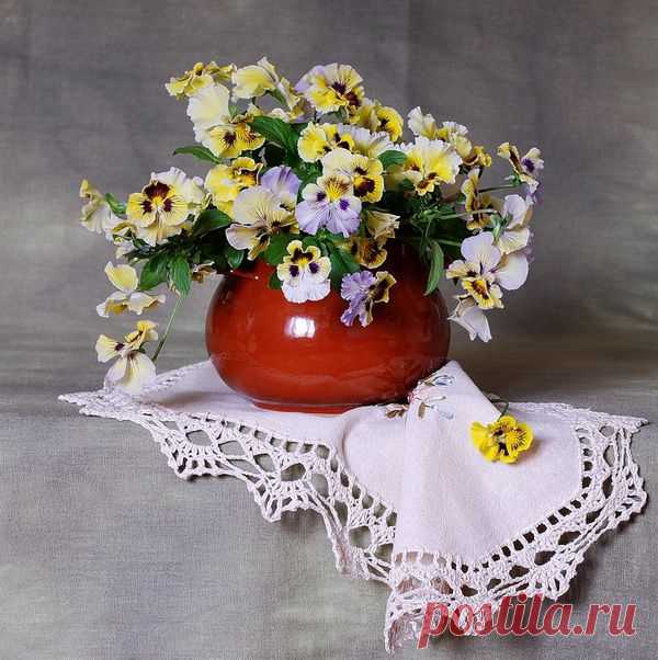 Анютины глазки.