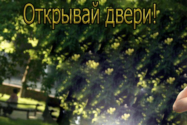 я иду тебе навстречу
