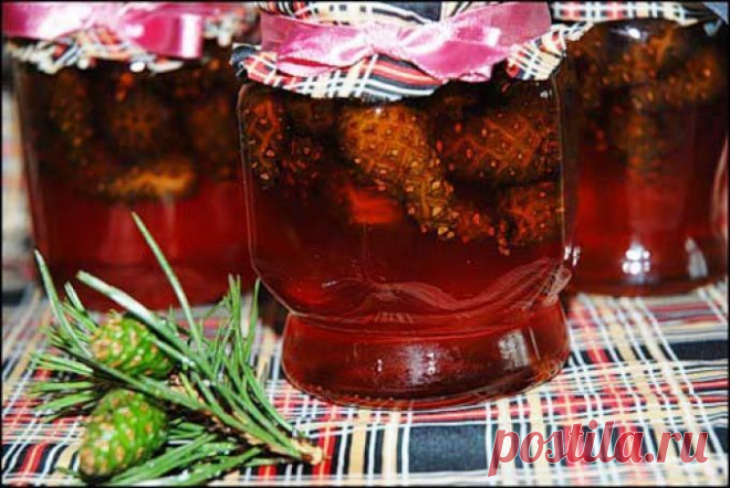 Целебное варенье из сосновых шишек и сосновый мед своими руками!