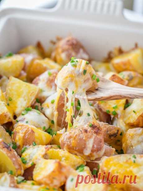 Сырная серия:
Запеченный картофель с сыром
Нарежьте картофель на половинки или четвертинки (зависит от размера) и сварите. Выложите вареный картофель в форму для выпекания и залейте натуральным йогуртом. Посыпьте солью, перцем и измельченным чесноком. Выпекайте 20-25 минут. Достаньте картофель из духовки, посыпьте его сверху 1 чашкой тертого сыра (можно нескольких видов) и верните обратно в духовку на 2-3 минуты, пока сыр не расплавится.