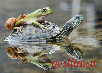 30 уютных и добрых фотографий, наполненных душевной теплотой Если следить за новостями, то жизнь становится похожа на кромешный ад. В новостях всё время нагнетают обстановку, в соцсетях все вечно недовольные, кругом одна ругань, раздражение и дискомфорт. 
К сча...