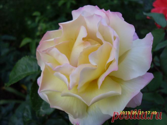 Мой Мир@Mail.Ru