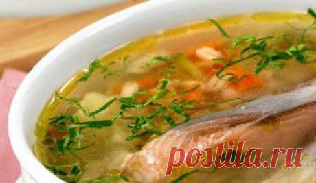 Уха: семга плюс судак