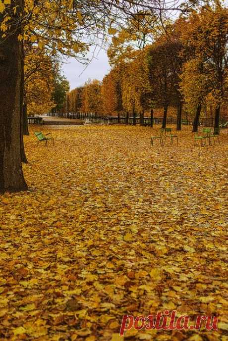 Jardin des Tuileries