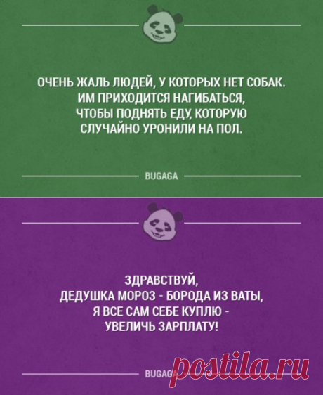 Прикольные картинки в пятницу (22.12.2016)