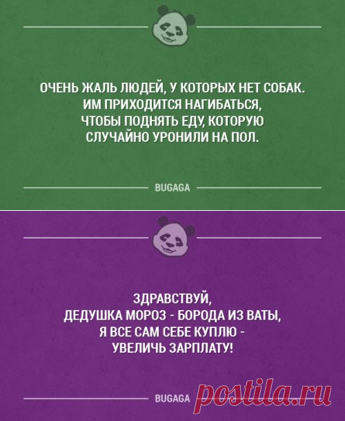 Прикольные картинки в пятницу (22.12.2016)