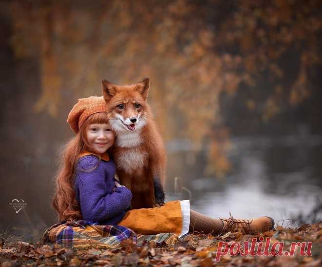 Рыжая осень❤