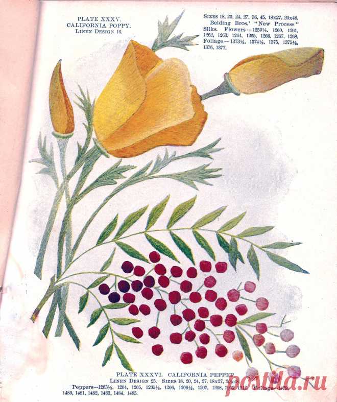 Belding Brothers XXXV 1900's