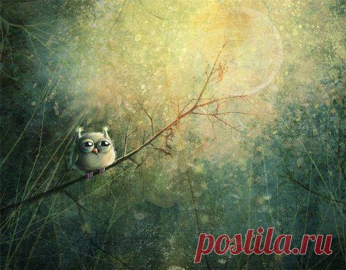 Анна: Словами можно прикасаться............