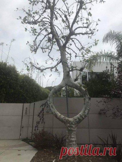 Подборка позитива! / Приколы