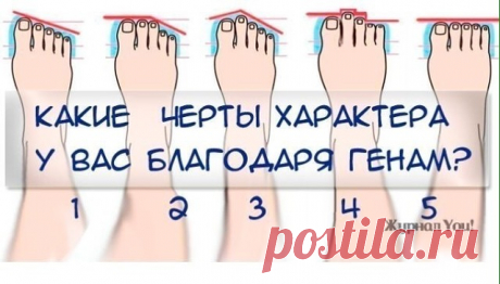(46) Одноклассники