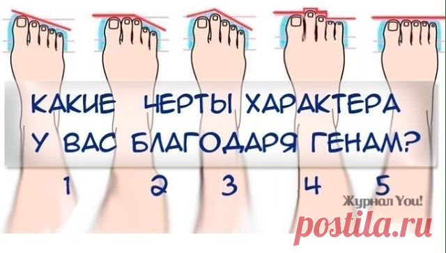 (46) Одноклассники