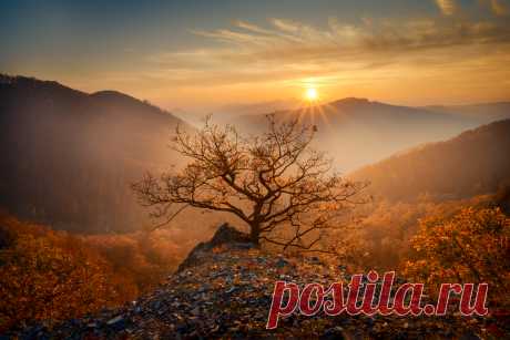 Фотографии жанра - Пейзаж. Профессиональные фото-сообщество 35PHOTO