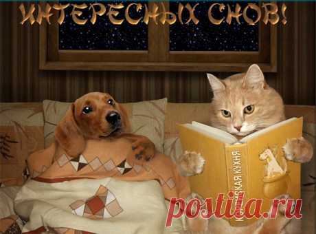 СПОКОЙНОЙ НОЧИ . 
Ночью грань мира, открывается нам совсем с другой стороны. Мир становиться таким романтичным, загадочным. И наконец, после тяжелого трудового дня можно лечь в свою любимую постель и просто расслабиться, закрыть глаза и покинуть этот мир до восхода солнца. Я желаю тебе спокойной и приятной ночи. Пусть твое тело, душа и разум отдохнет от дневной суеты, и погрузиться в сон. Пусть миллионы ярких звездочек подмигивают тебе и приносят каждая по маленькому кусочку счастья...