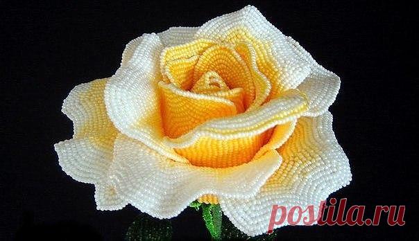 Шикарные розы из бисера