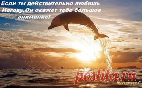 Мой Мир@Mail.Ru