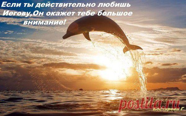 Мой Мир@Mail.Ru