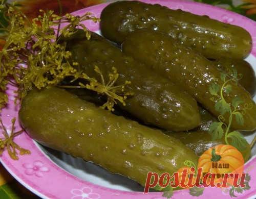 Я люблю старые проверенные рецепты и много лет их собираю. Один из любимых - огурцы соленые по-монастырски. Так как бочки у меня нет, я делаю их в банках. Закатываю с красной смородиной, еще по рецепту батюшки Гермогена. Вкусные получаются и малосольные зеленцы, шипучие и хрустящие, просто объедение