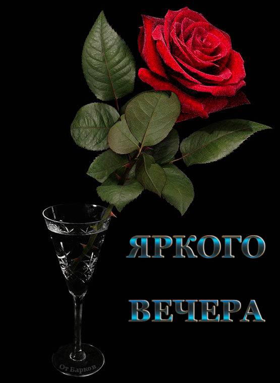 Добрый вечер !
