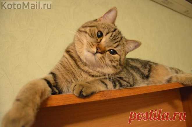 Доброе утро!