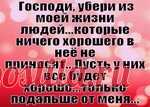 Яндекс Картинки: поиск похожих изображений