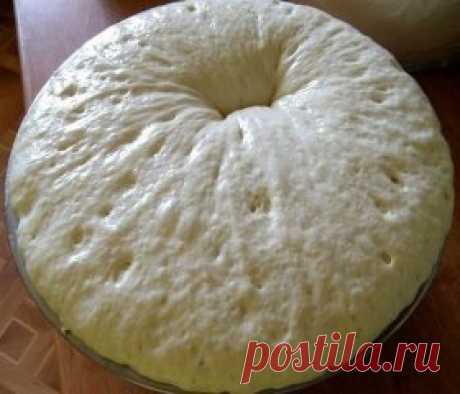 дрожжевое тесто