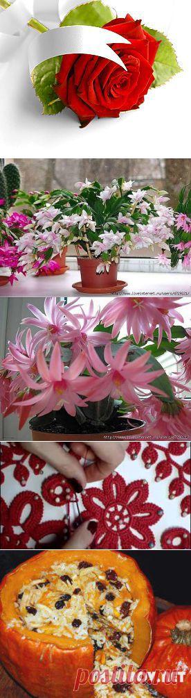 Ирина Васильевна Таран(Бутова) на Postila.ru