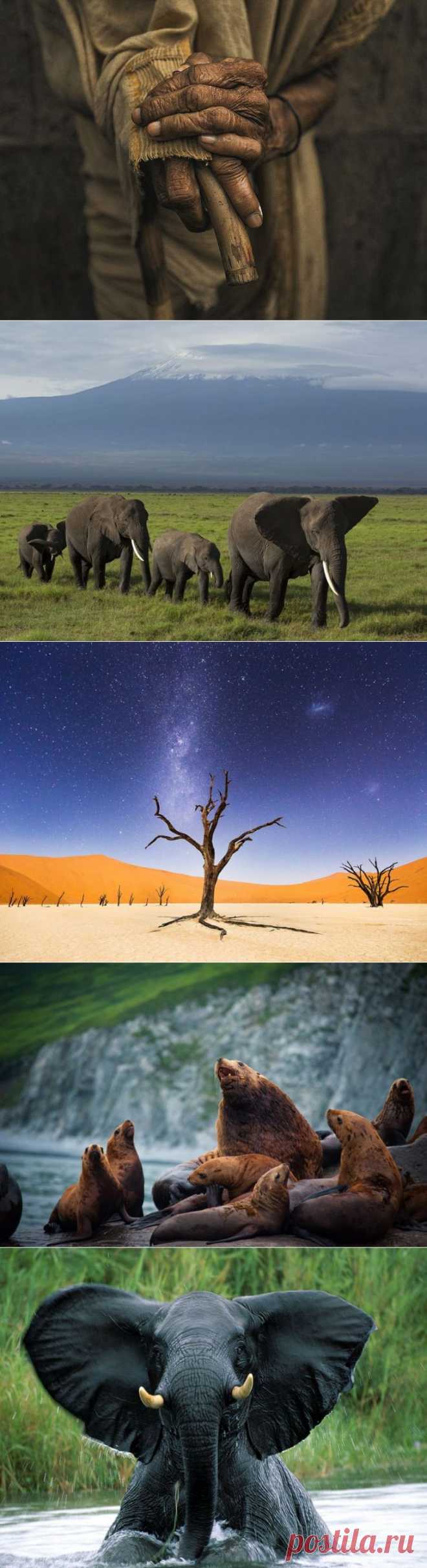 Лучшие фотографии августа от National Geographic — Наука и жизнь