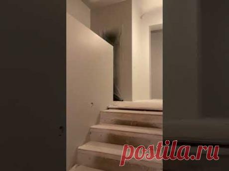 #малярноедело #flugger #flutexpro10 #graco #москва #ремонт #малярныйцентр #комплектация #проект