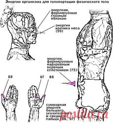 Организм и телепортация ЧЕЛОВЕКА. Organism and teleportation man - 30 Октября 2013 - Человек: перспективы и ресурсы