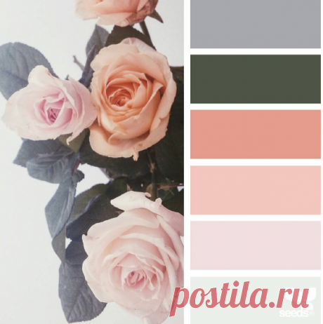 jessica colaluca (@designseeds) • Фото и видео в Instagram