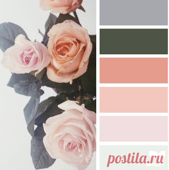 jessica colaluca (@designseeds) • Фото и видео в Instagram