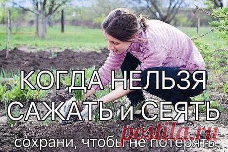 (1) Одноклассники