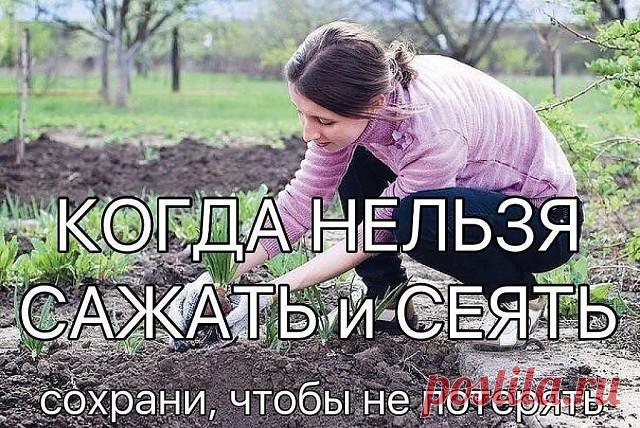 (1) Одноклассники