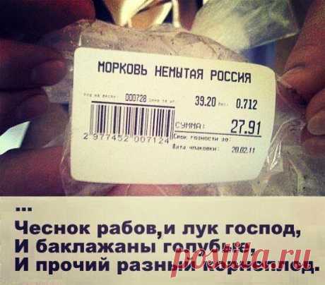 Я люблю русский язык!