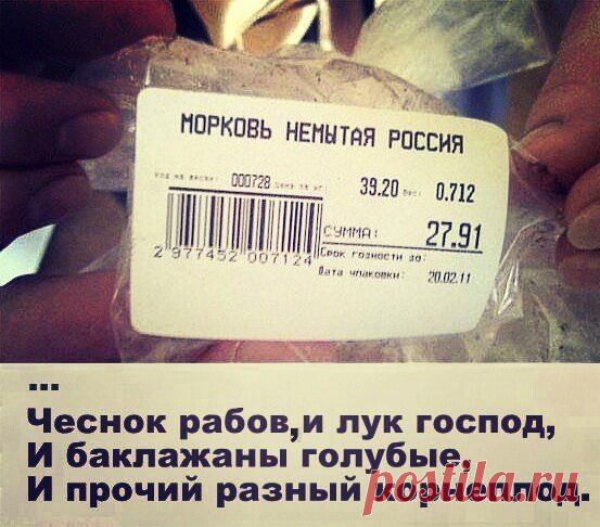 Я люблю русский язык!