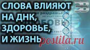 Слова и мысли влияют на нашу жизнь