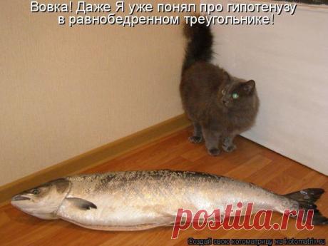 ПЛЭЙКАСТЫ, БЕСПЛАТНЫЕ МУЗЫКАЛЬНЫЕ ПОЗДРАВЛЕНИЯ!