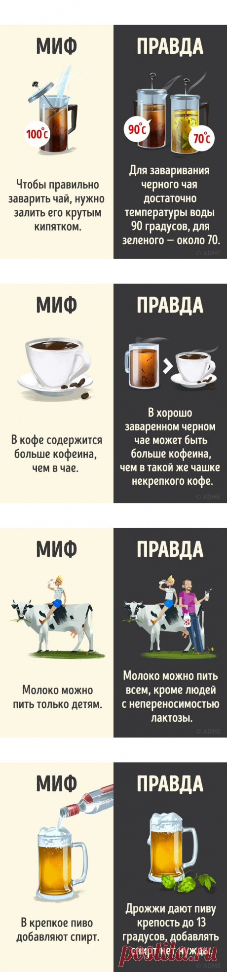 12 популярных мифов о напитках / Будьте здоровы