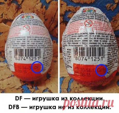Самая нужная информация за всю жизнь!