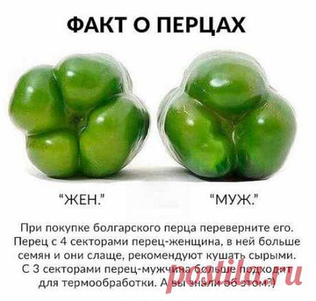 Как правильно выбрать болгарский перец