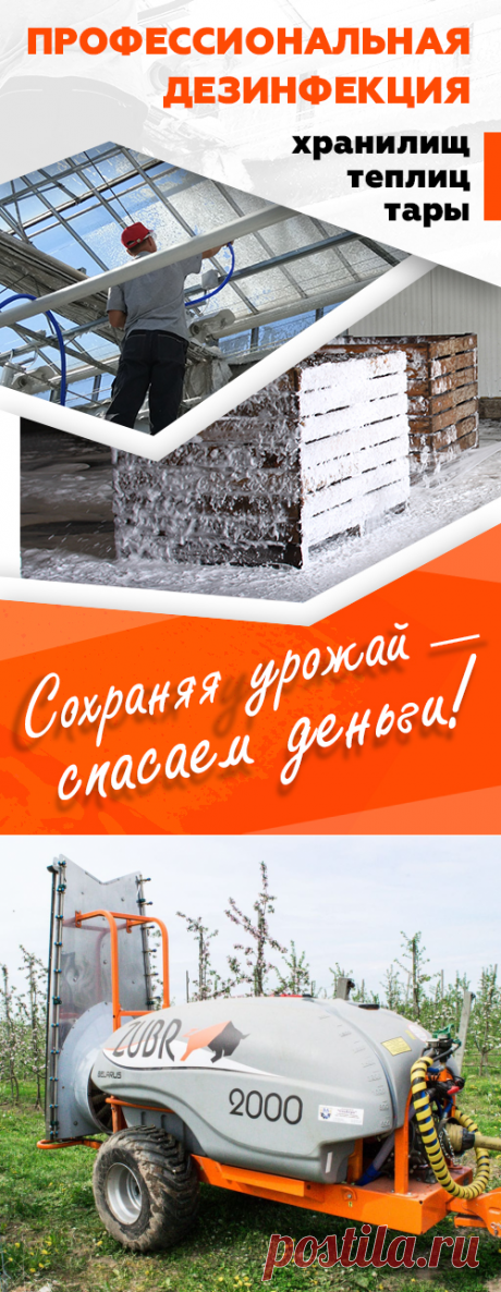 Прицепные опрыскиватели вентиляторные садовые Зубр ПВ для трактора МТЗ купить в Минске, цены