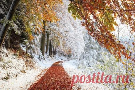 Мой Мир@Mail.Ru