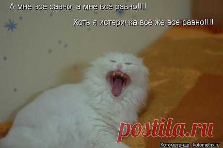 улыбнитесь!