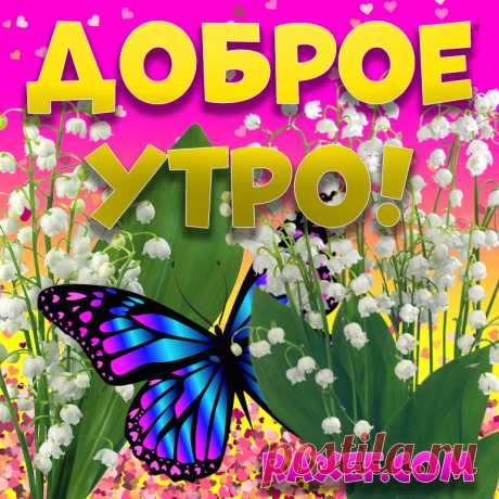 Открытки с добрым утром весенние! Картинки доброе весеннее утро! Доброе весеннее утро! Картинка с сердечками на... | Страница 4