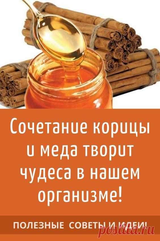 Может ли мед замедлить старение организма
Большое количество полезных микроэлементов. В меде насчитывается более 60 полезных микроэлементов, которые положительно сказываются на нашем здоровье. Например, в составе меда имеются витамины A, C, E, K и витамины группы B. Помимо витаминов в меде есть фосфор, цинк, фолиевая кислота, кальций и железо.

Мед помогает расслабиться и успокоиться.