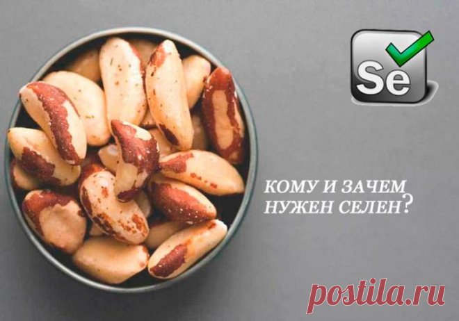 Кому и зачем нужен селен Микроэлемент селен необходим для здоровья организма. Его полезное действие заключается в борьбе со свободными радикалами, нормализации функций щитовидной железы и иммунной ситемы. На этом ценные качес...
